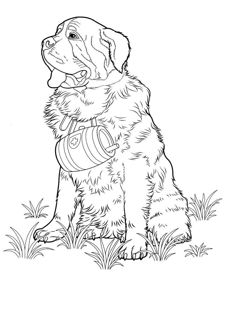 34 Police Dog Coloring Pages Printable 14