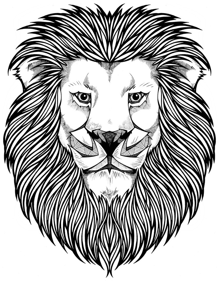 proud detroit lions logo coloring page printable jpg