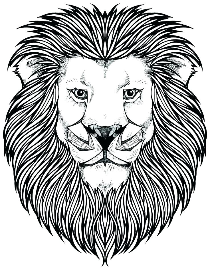 36 Proud Detroit Lions Logo Coloring Page Printable 28