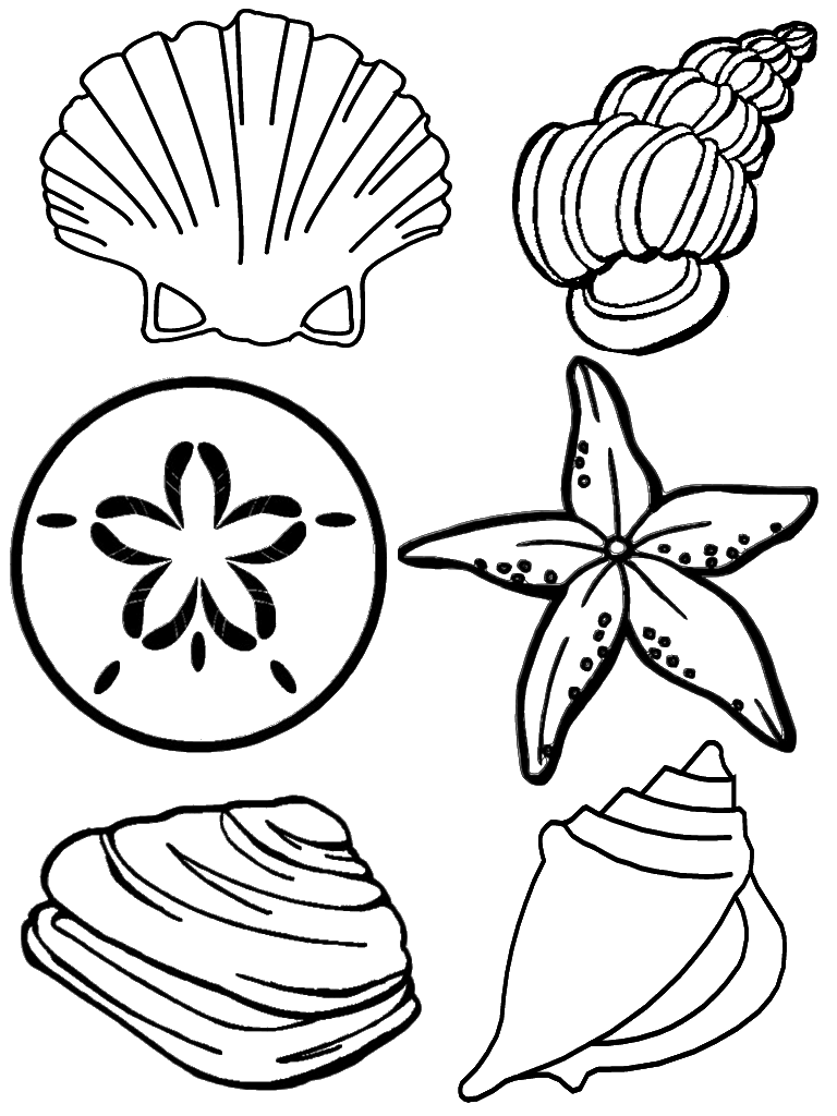 sweet seashell coloring pages printable jpg