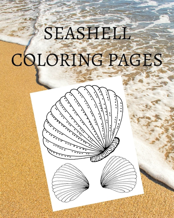 sweet seashell coloring pages printable jpg