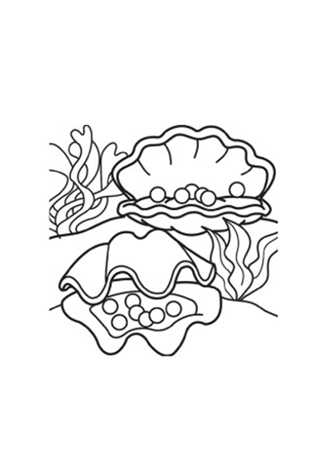 sweet seashell coloring pages printable jpg