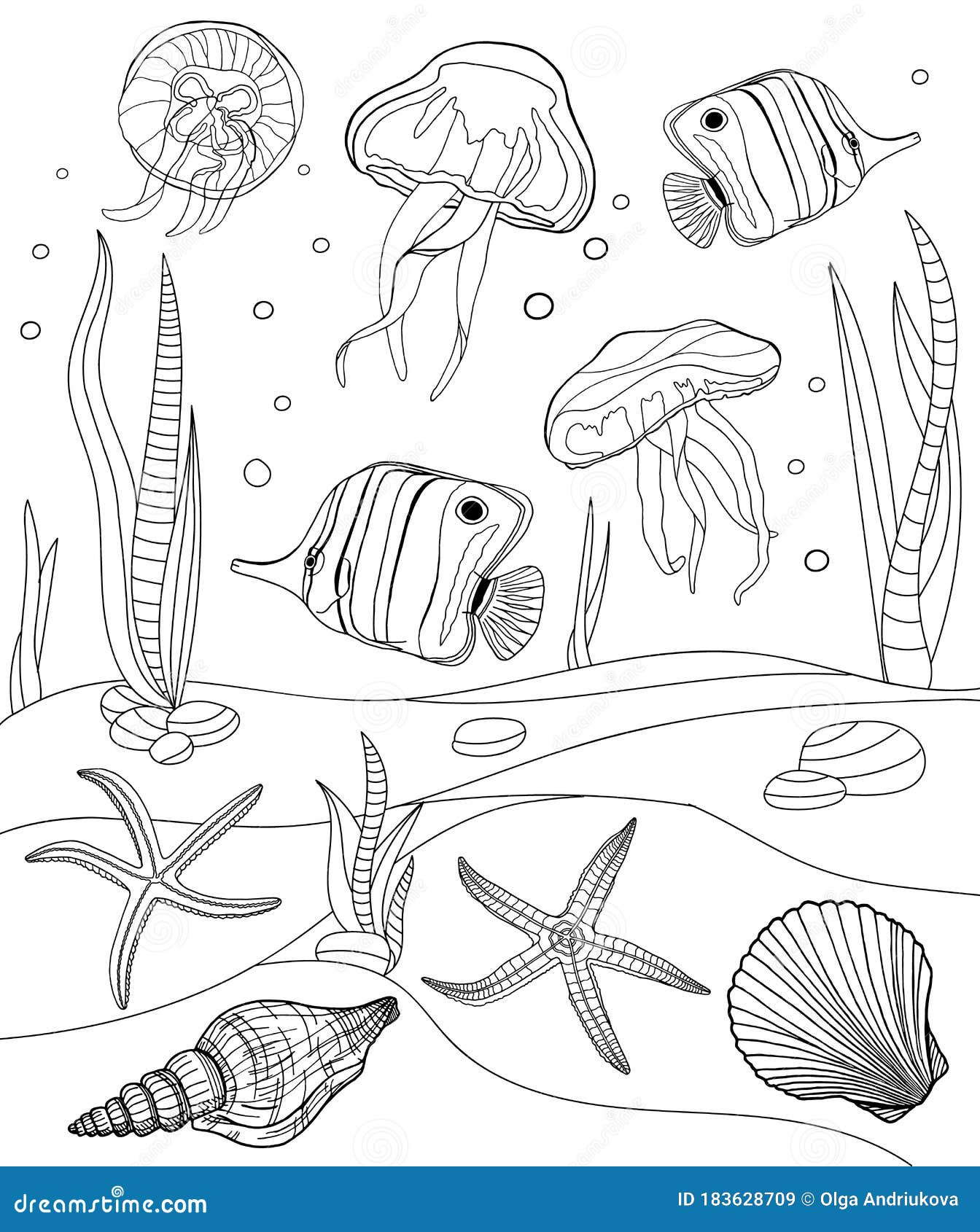 36 Sweet Seashell Coloring Pages Printable 18