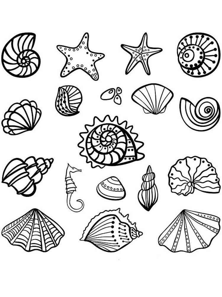 36 Sweet Seashell Coloring Pages Printable 24