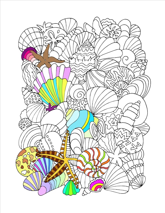 36 Sweet Seashell Coloring Pages Printable 25