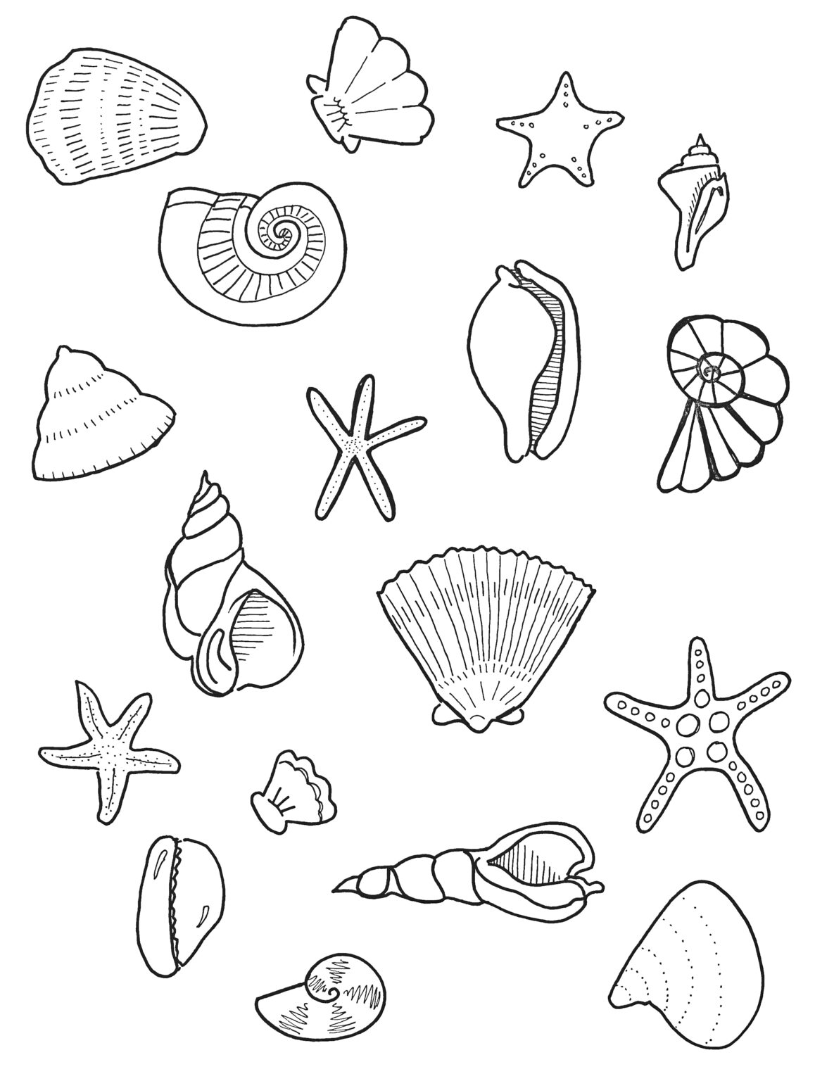 36 Sweet Seashell Coloring Pages Printable 26