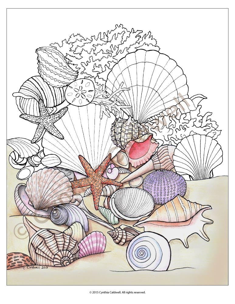 36 Sweet Seashell Coloring Pages Printable 30