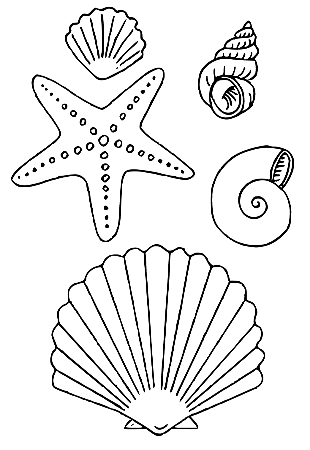 36 Sweet Seashell Coloring Pages Printable 34