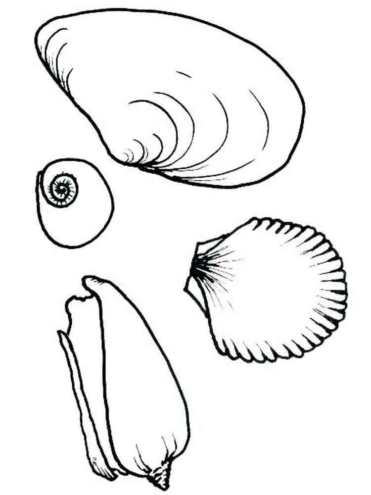 36 Sweet Seashell Coloring Pages Printable 35