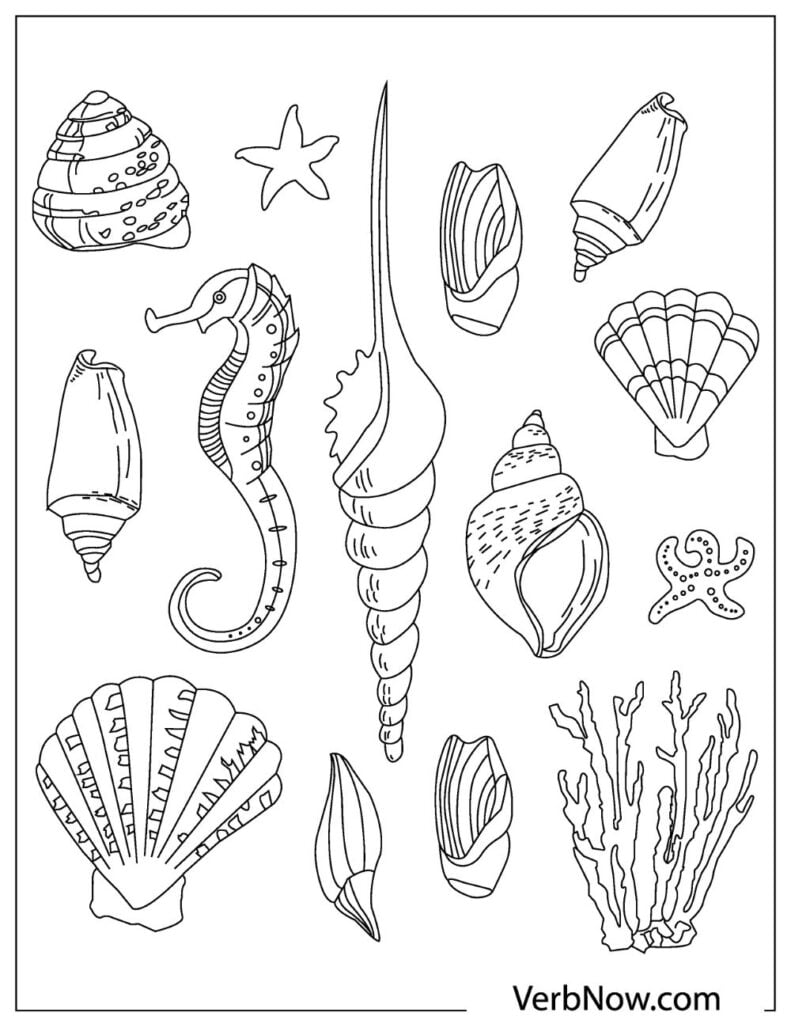 36 Sweet Seashell Coloring Pages Printable 5