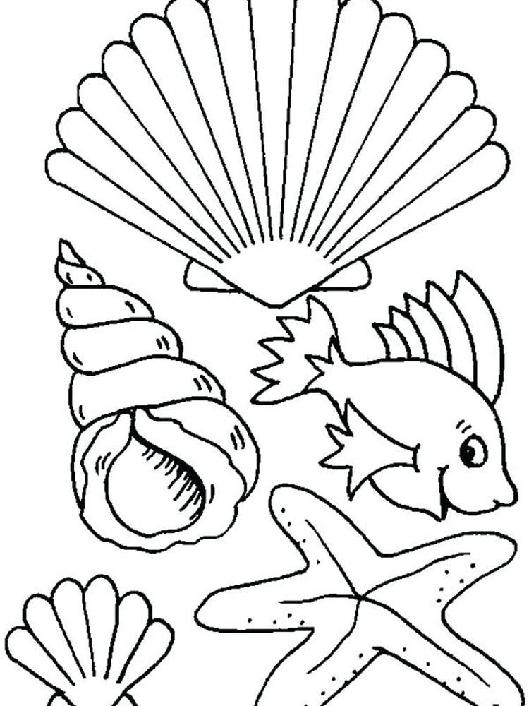 sweet seashell coloring pages printable jpg