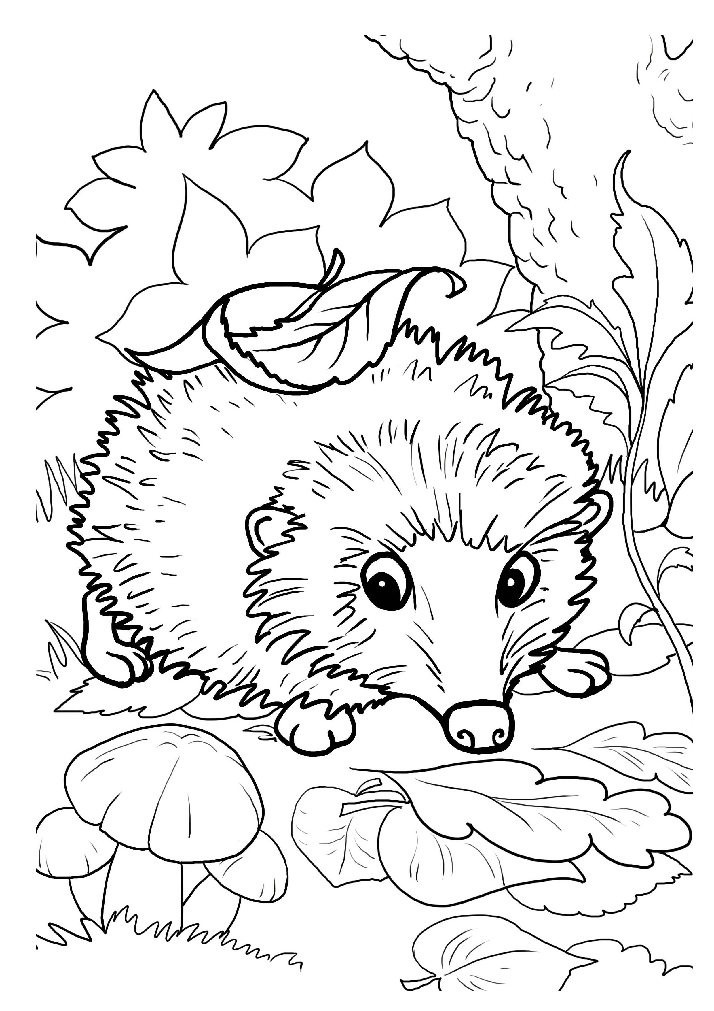 37 Cute Hedgehog Coloring Pages Printable 1