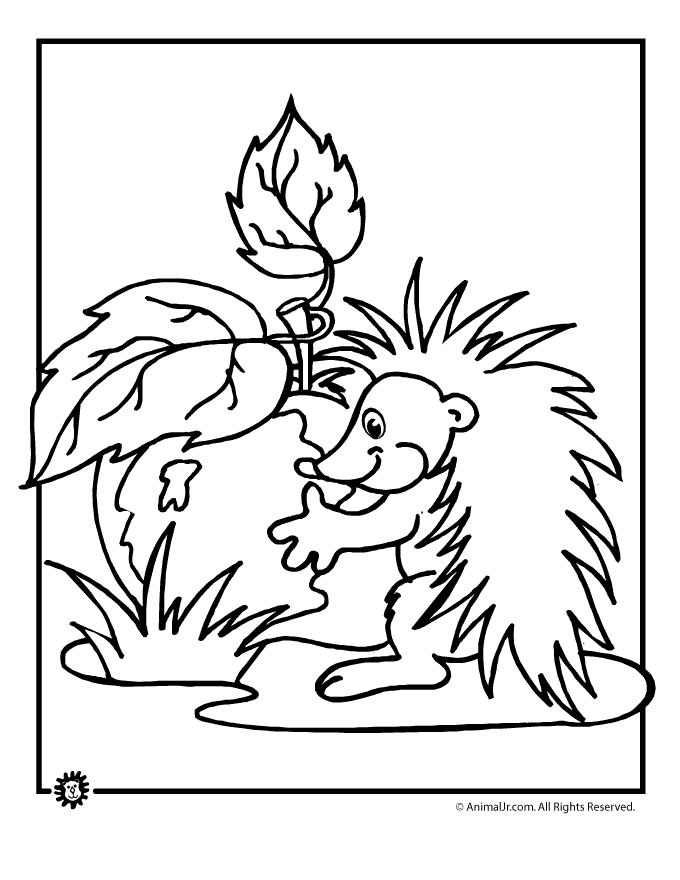 cute hedgehog coloring pages printable jpg