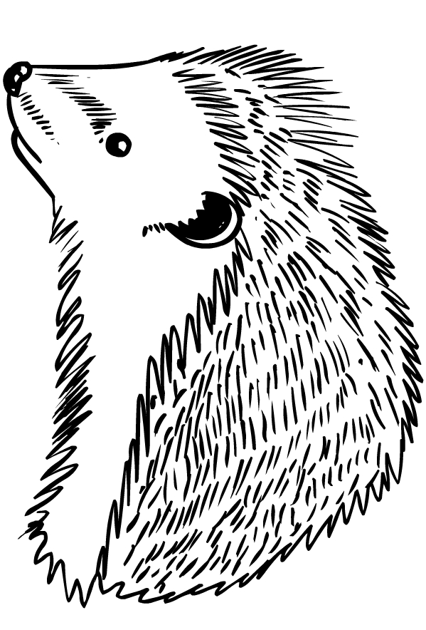 37 Cute Hedgehog Coloring Pages Printable 23