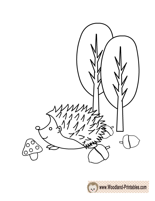 37 Cute Hedgehog Coloring Pages Printable 30