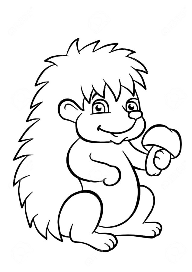 37 Cute Hedgehog Coloring Pages Printable 31