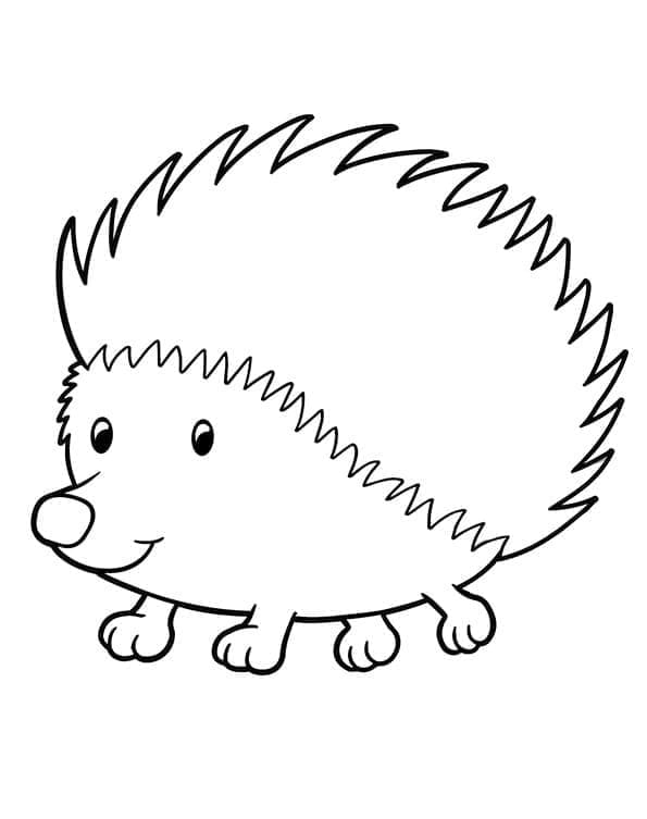 37 Cute Hedgehog Coloring Pages Printable 33