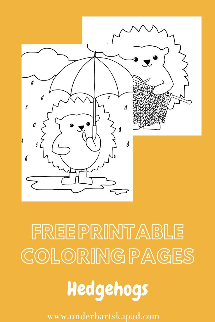 37 Cute Hedgehog Coloring Pages Printable 34