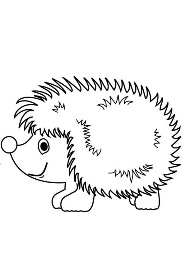 cute hedgehog coloring pages printable jpg