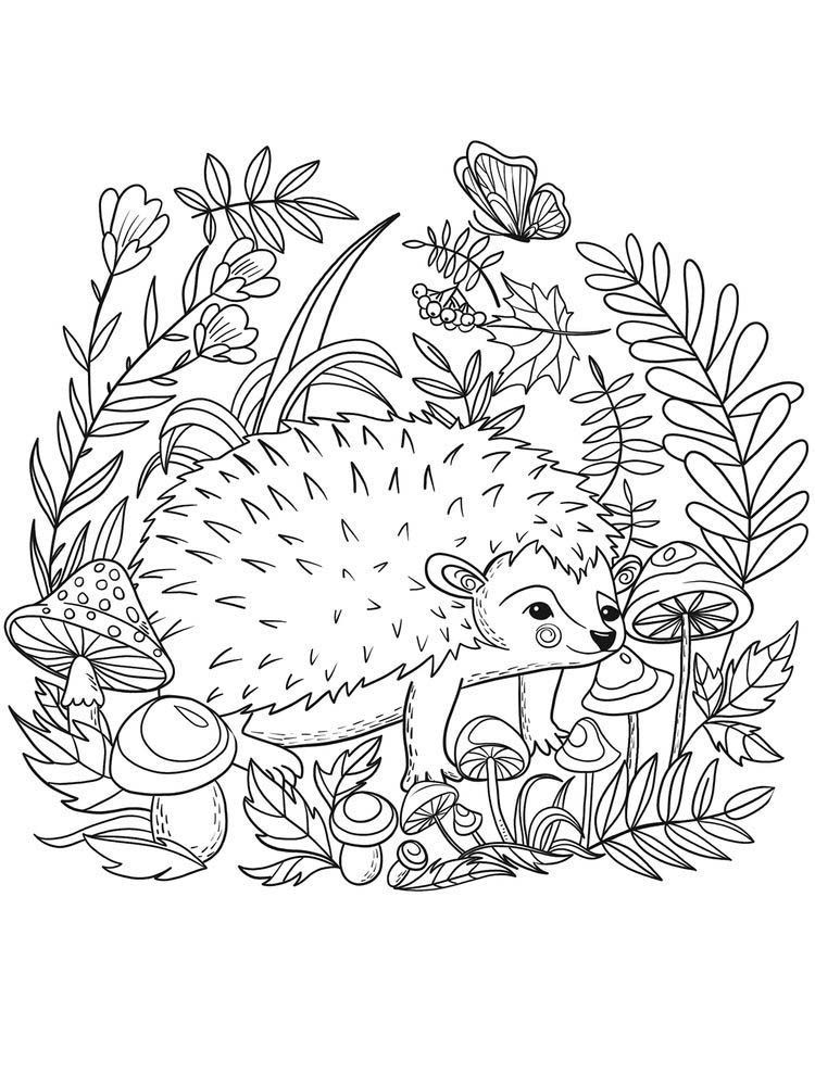 37 Cute Hedgehog Coloring Pages Printable 8