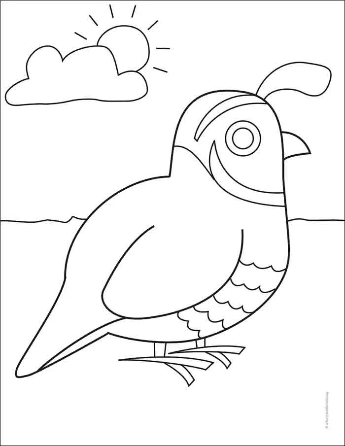 quail coloring pages printable jpg