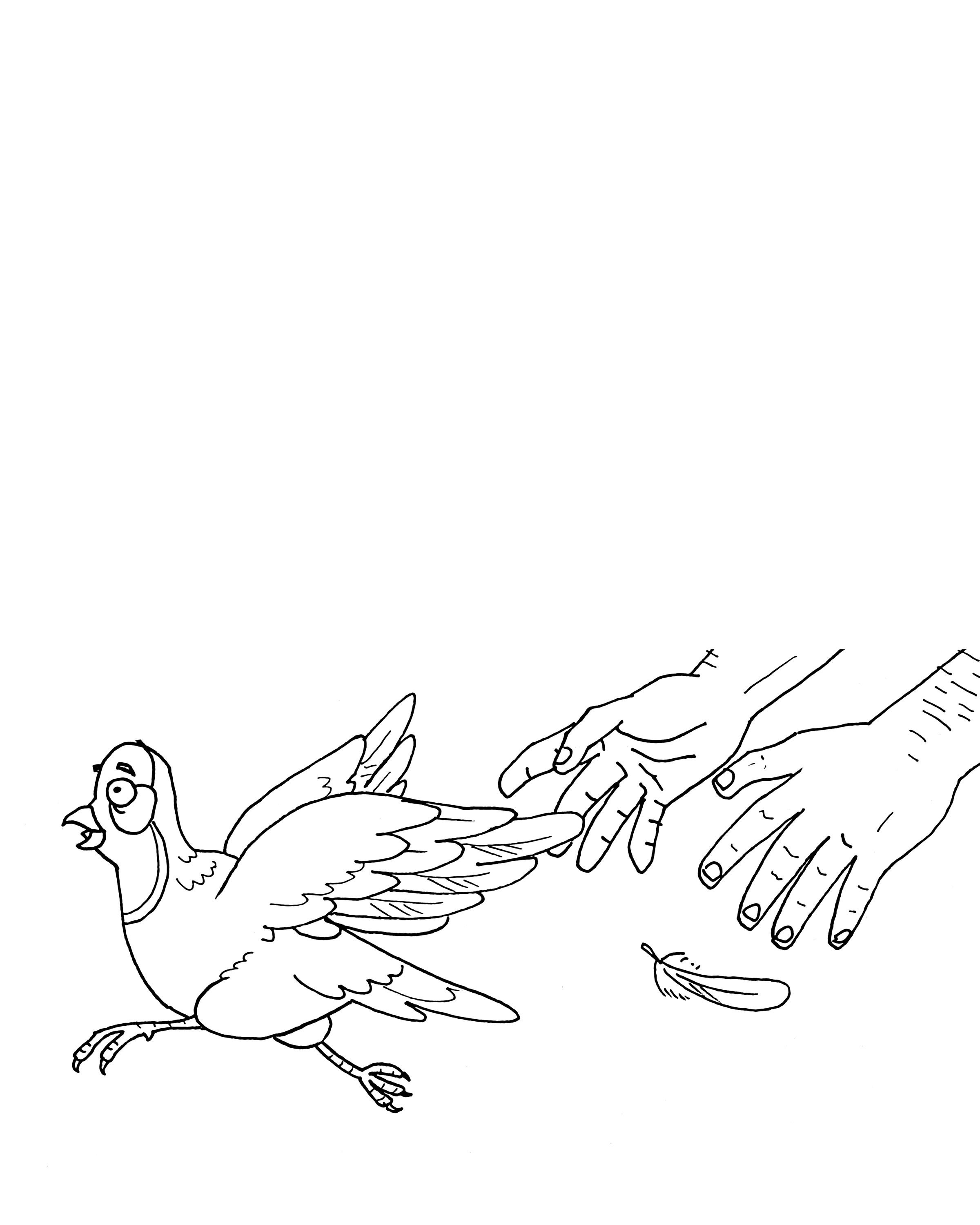 quail coloring pages printable jpg