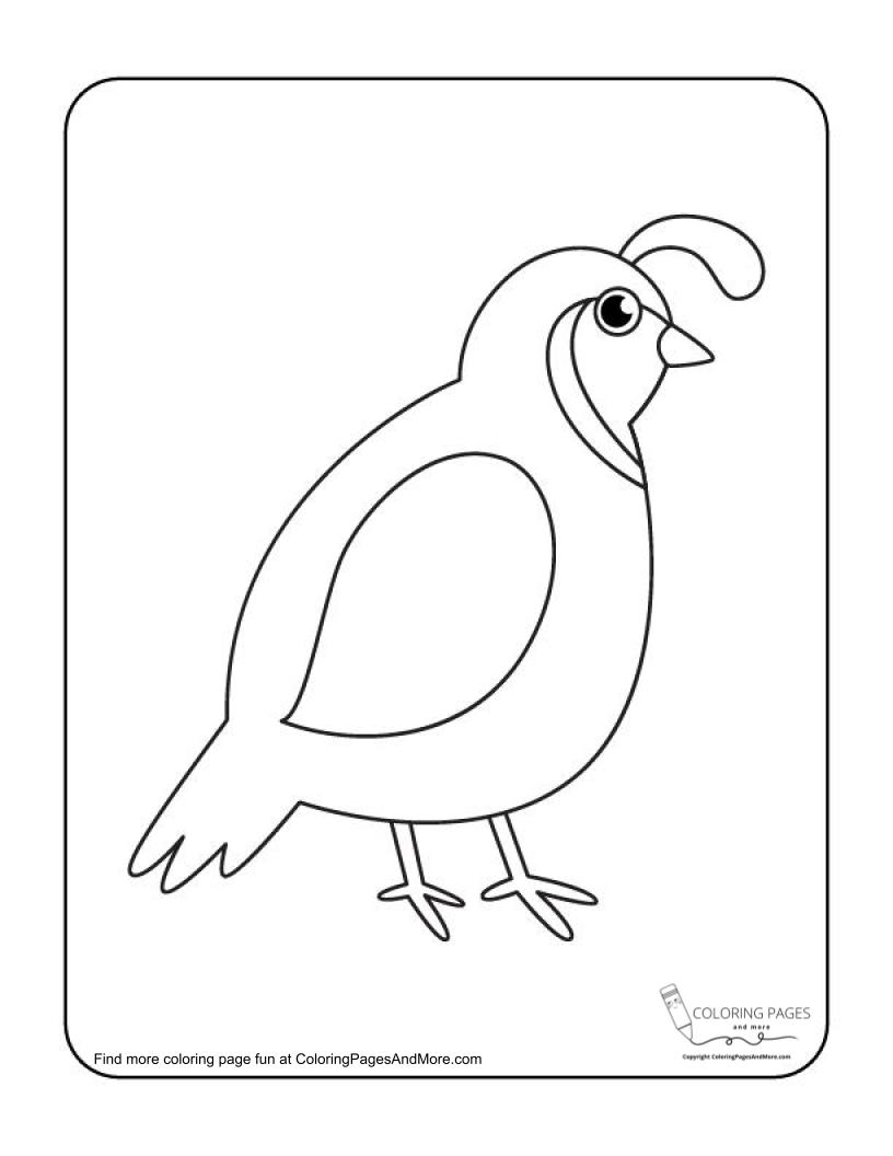 38 Quail Coloring Pages Printable 26