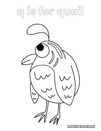 38 Quail Coloring Pages Printable 7