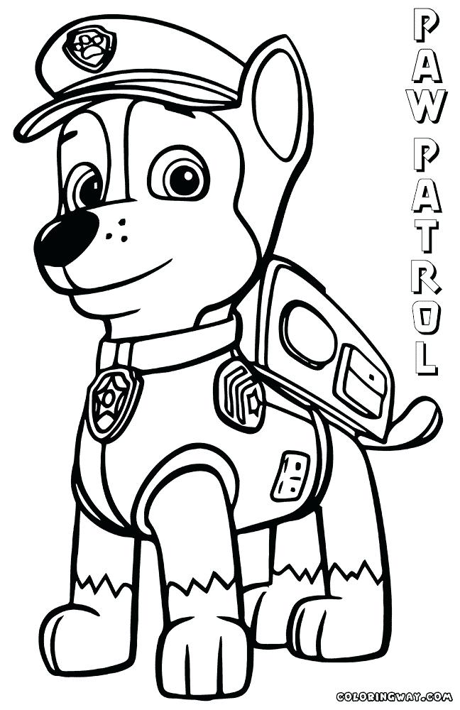 39 Playful Paw Patrol Skye Coloring Pages Printable 11