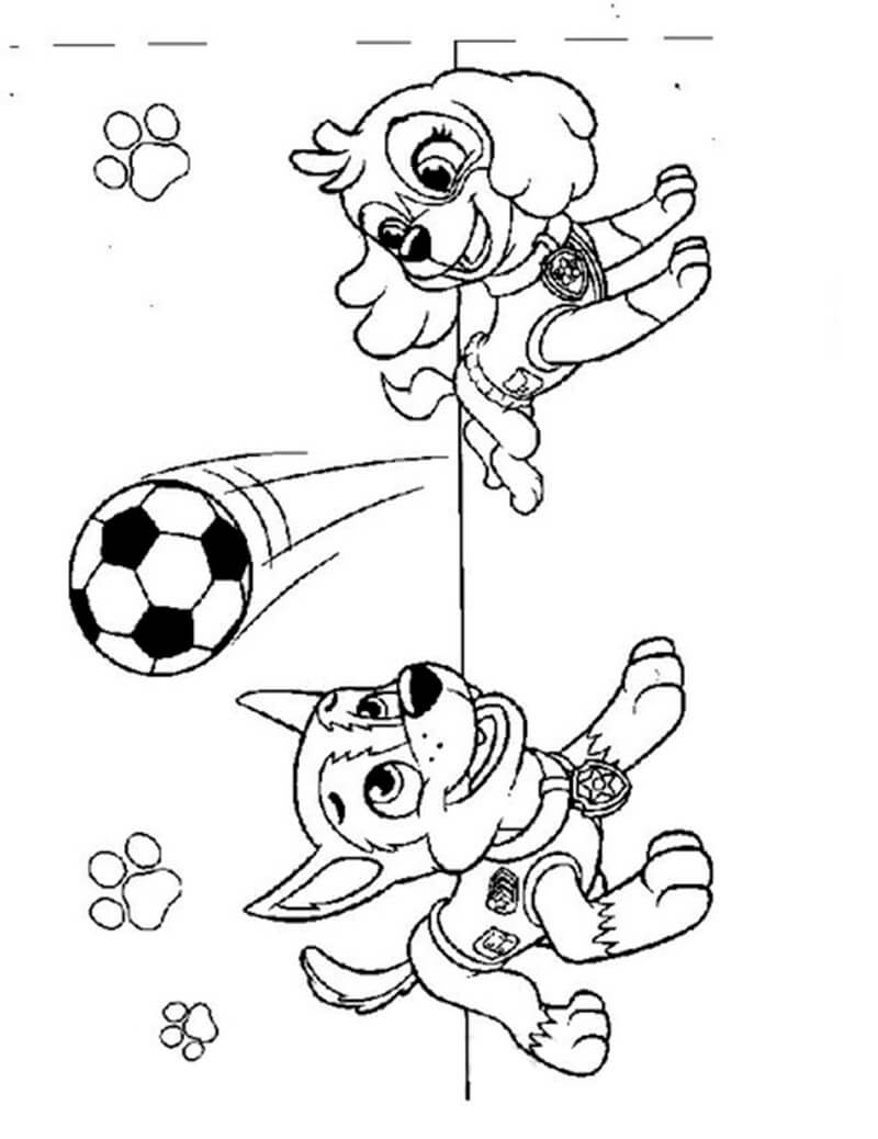 playful paw patrol skye coloring pages printable jpg