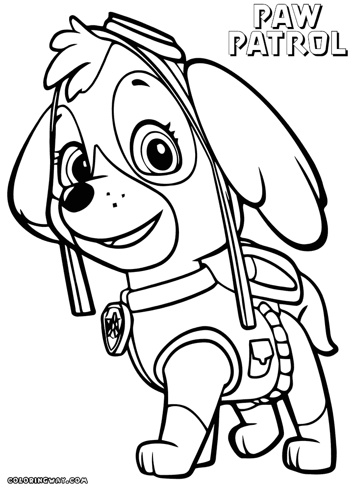 39 Playful Paw Patrol Skye Coloring Pages Printable 20