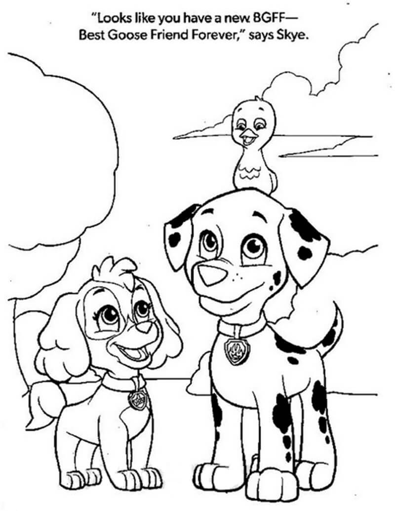 39 Playful Paw Patrol Skye Coloring Pages Printable 21