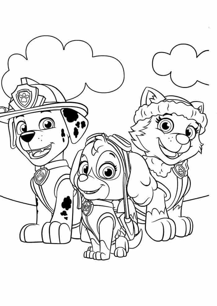 39 Playful Paw Patrol Skye Coloring Pages Printable 22