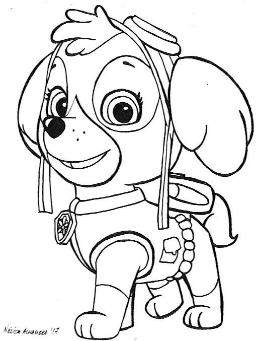 39 Playful Paw Patrol Skye Coloring Pages Printable 24