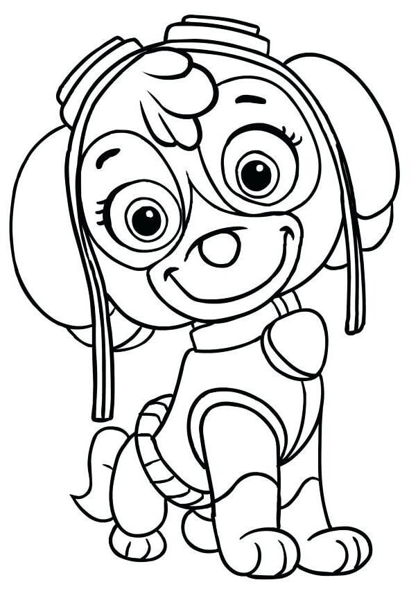 playful paw patrol skye coloring pages printable jpg