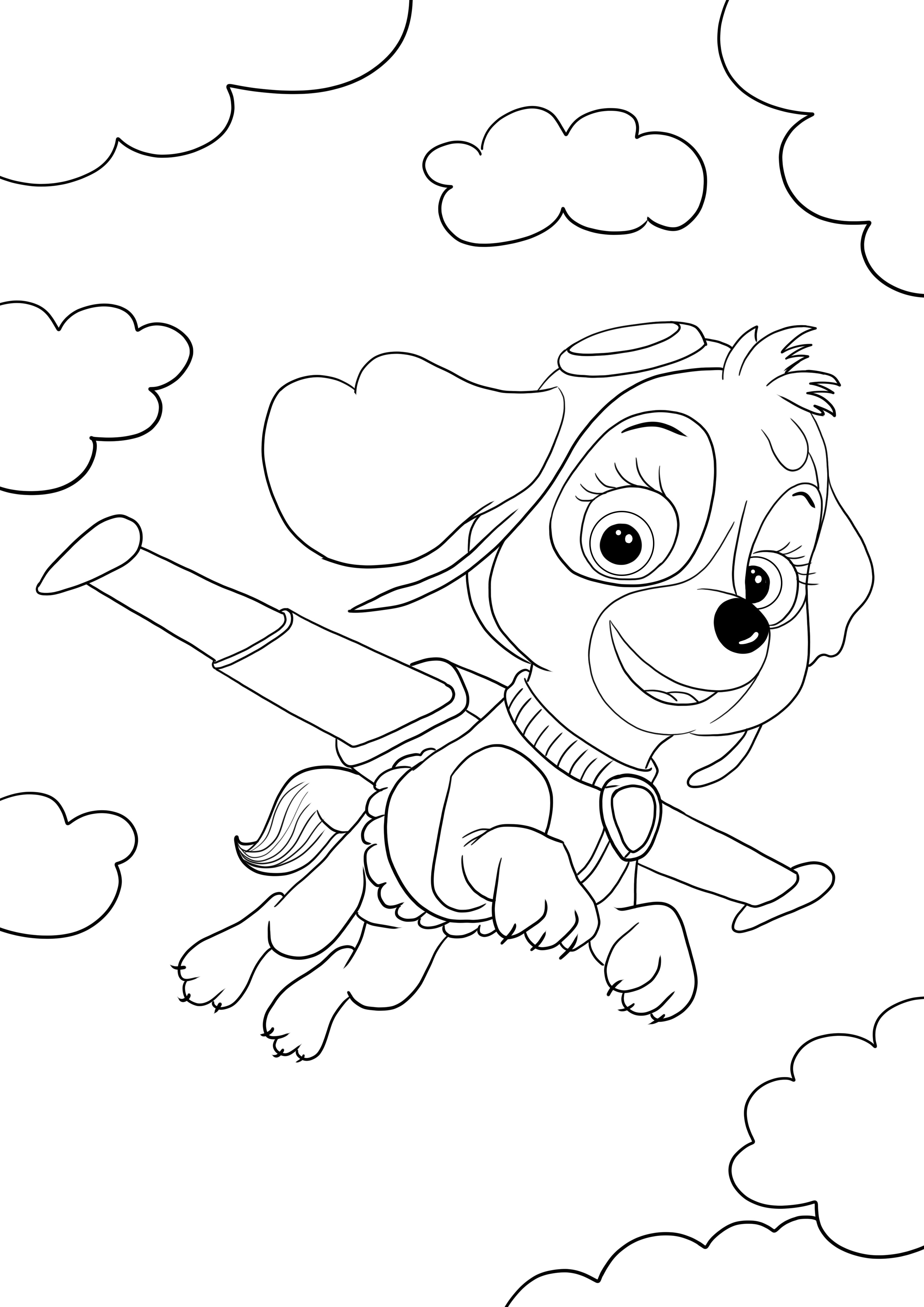 39 Playful Paw Patrol Skye Coloring Pages Printable 9