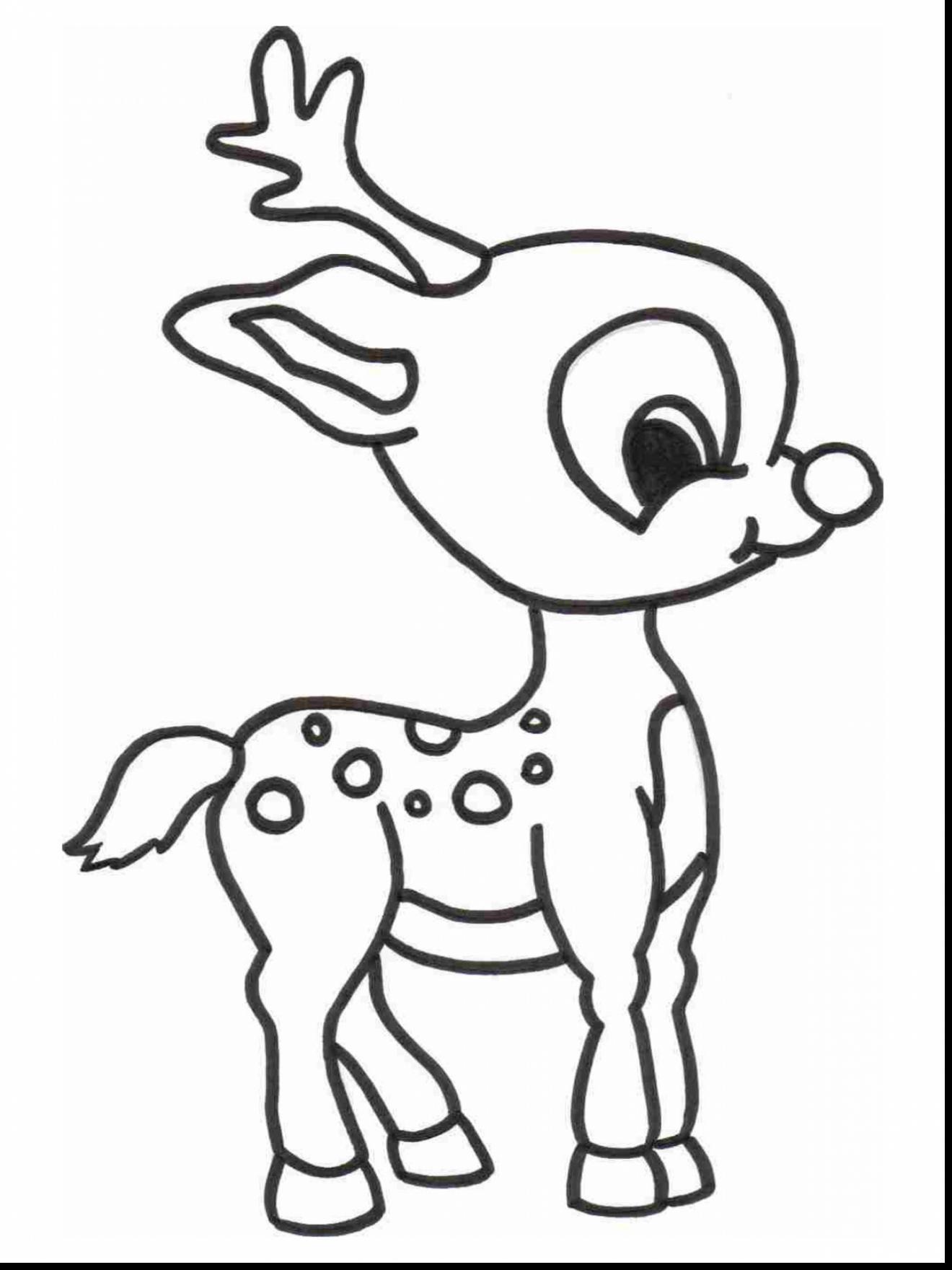 wonderful animals coloring pages printable jpg