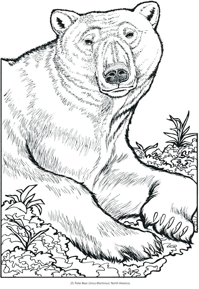 wonderful animals coloring pages printable jpg