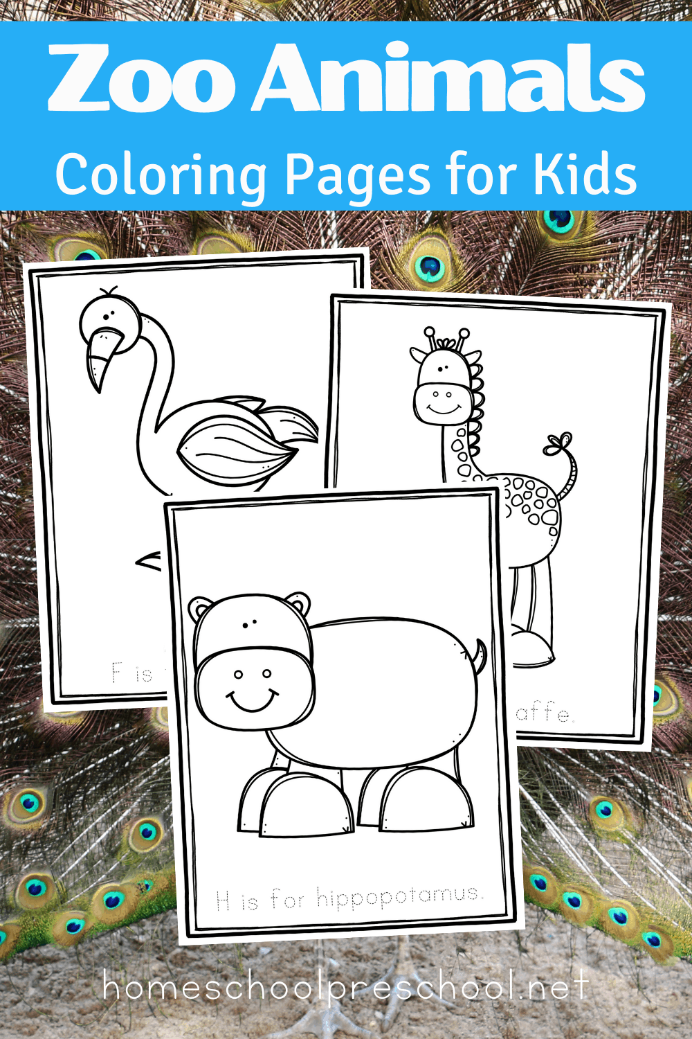 wonderful animals coloring pages printable jpg