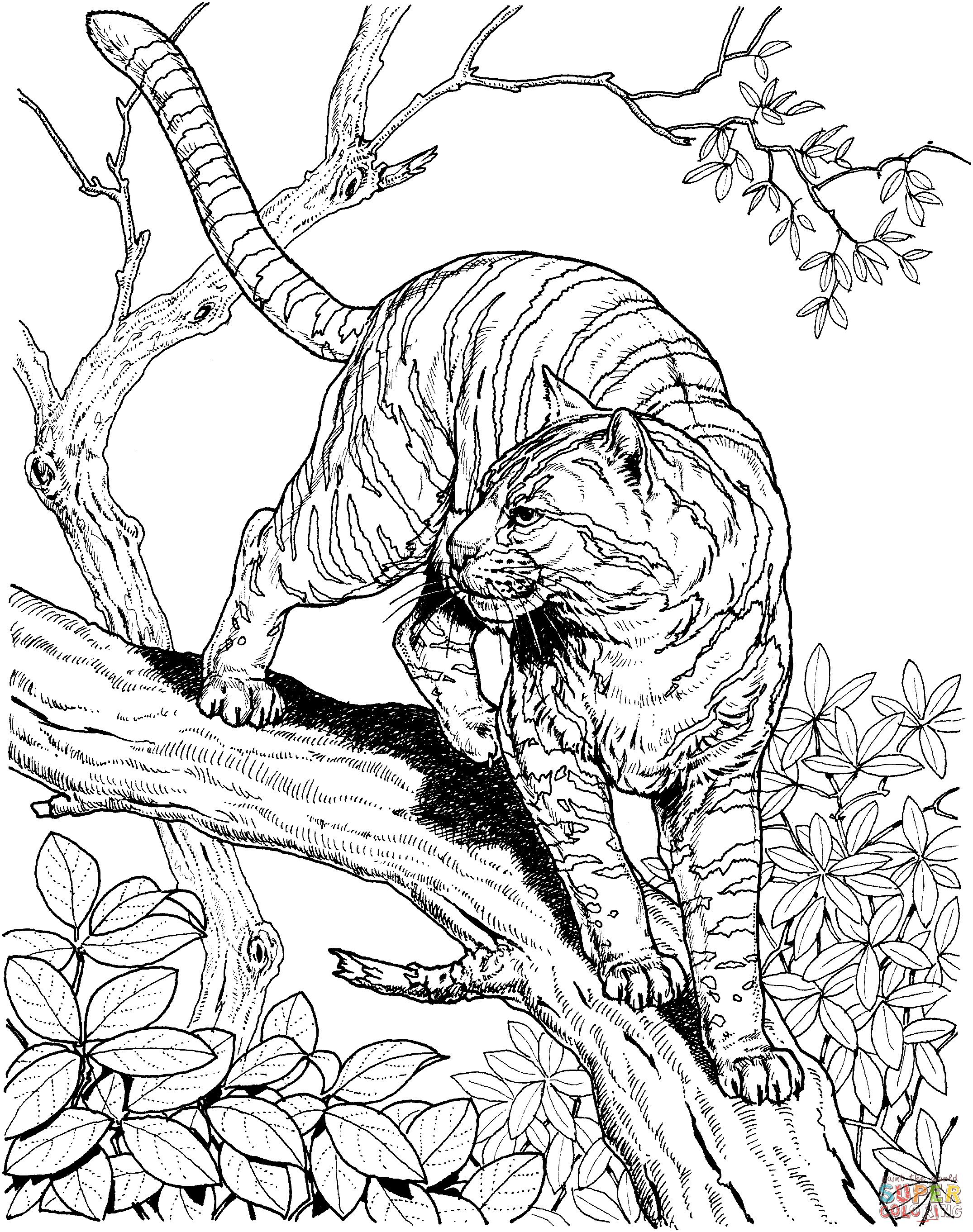 30+ Vibrant Animal Coloring Pages Printable