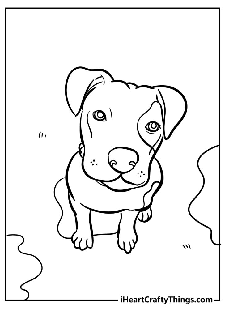 dog head coloring pages printable jpg