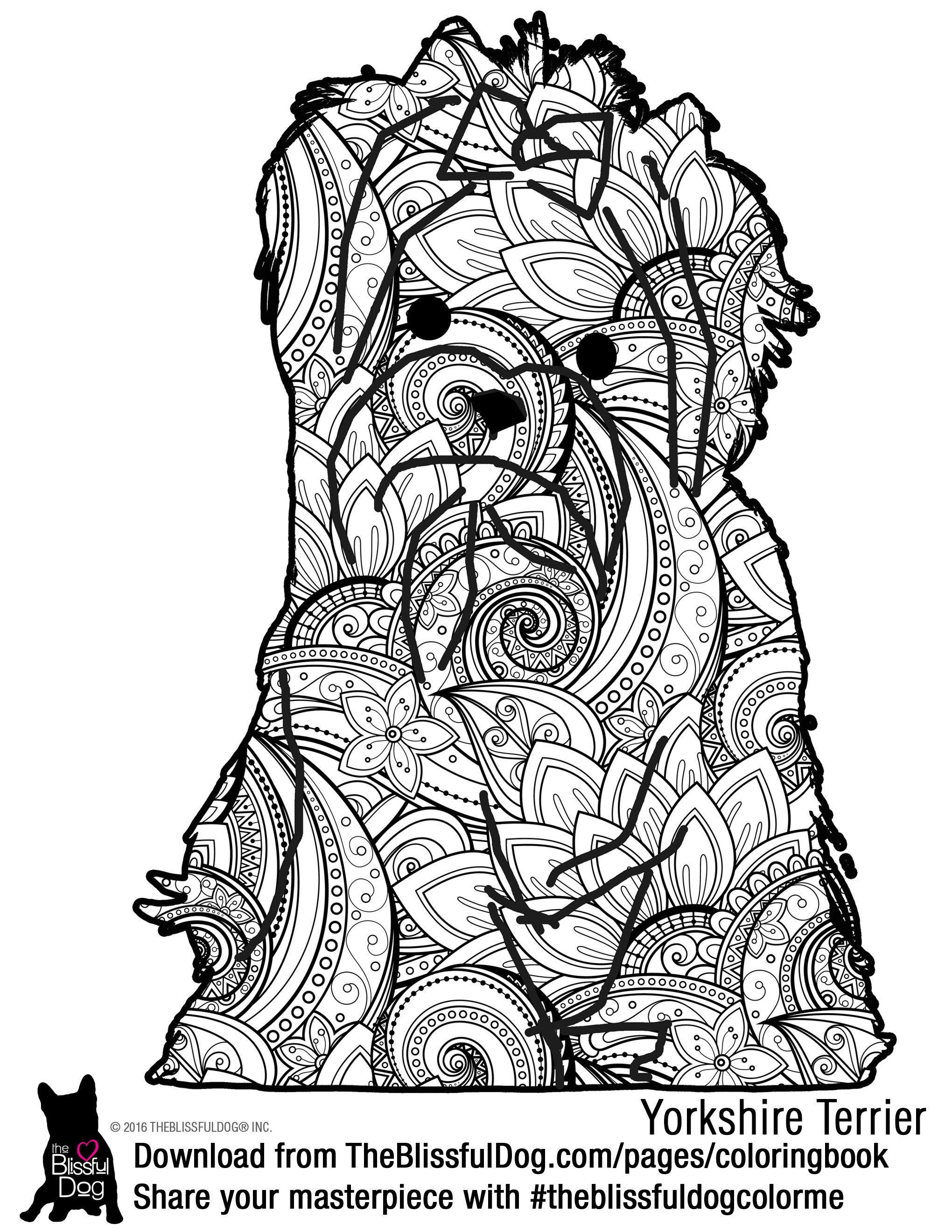 dog head coloring pages printable jpg