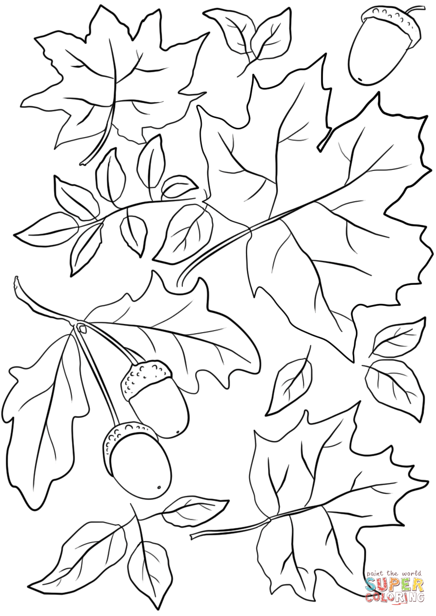 33 Fall Dog Coloring Pages Printable 22