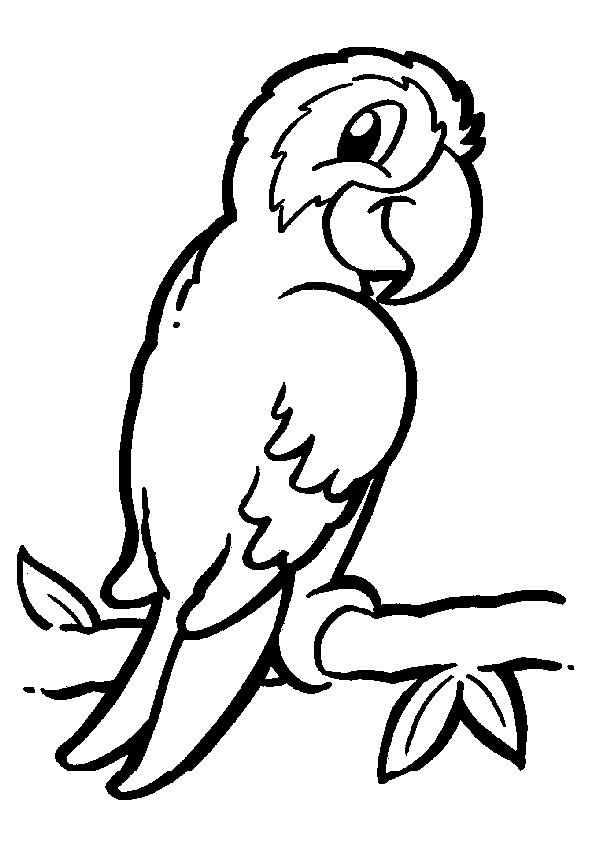 animal coloring pages jpg jpg