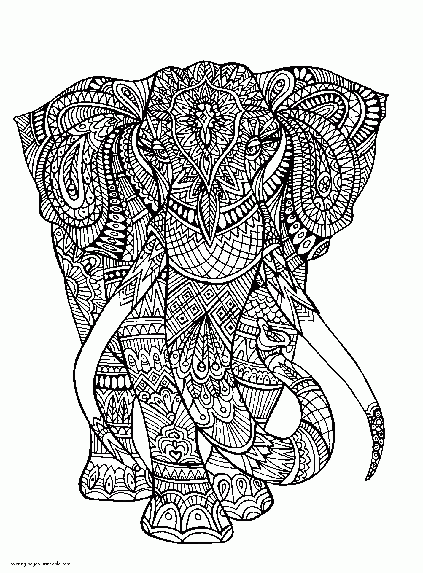 animal coloring pages for adults gif jpg