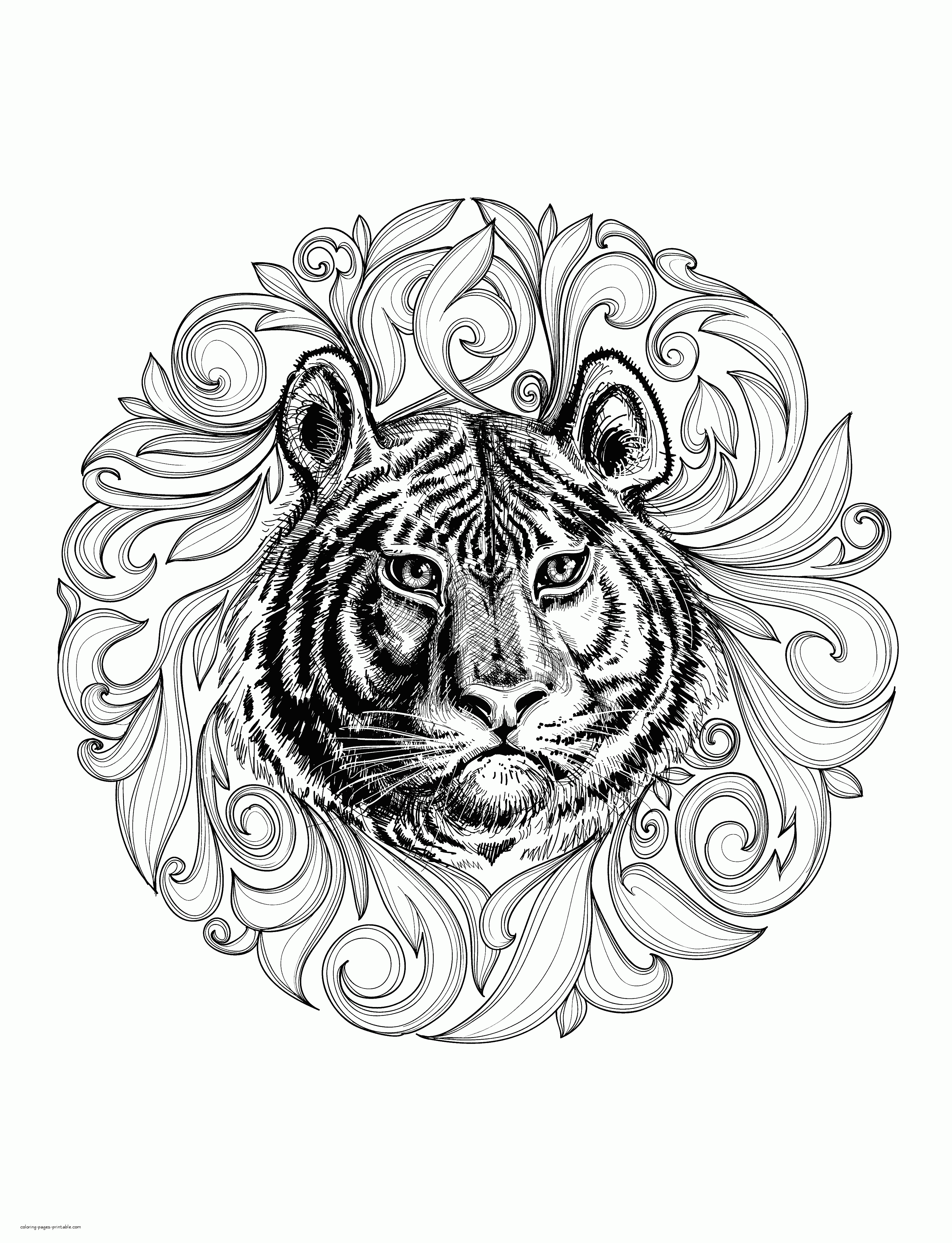 animal coloring pages for adults gif jpg