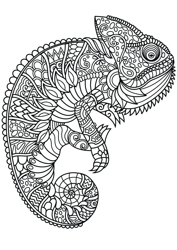 chameleon animal mandala coloring pages jpg jpg