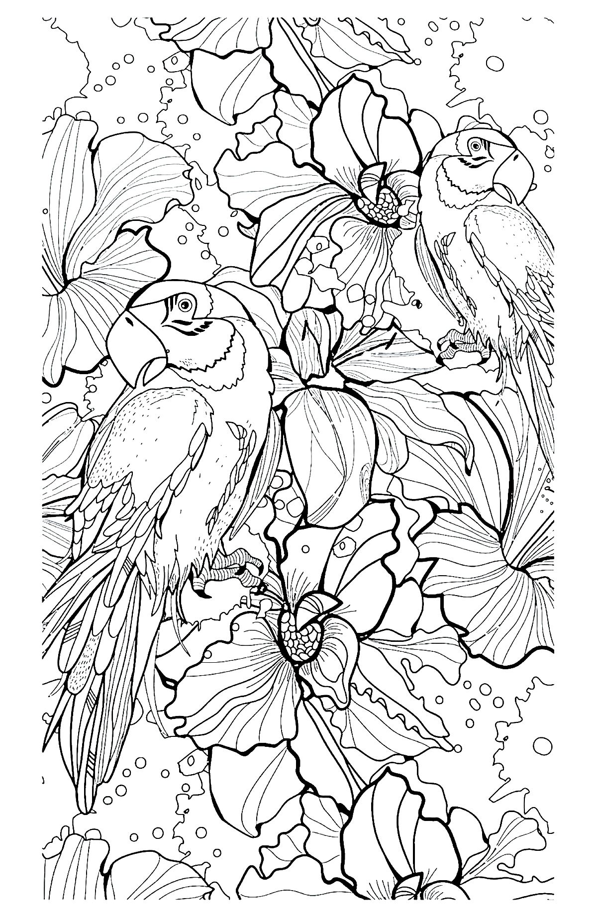 145+ Fun Animal Coloring Pages Printable