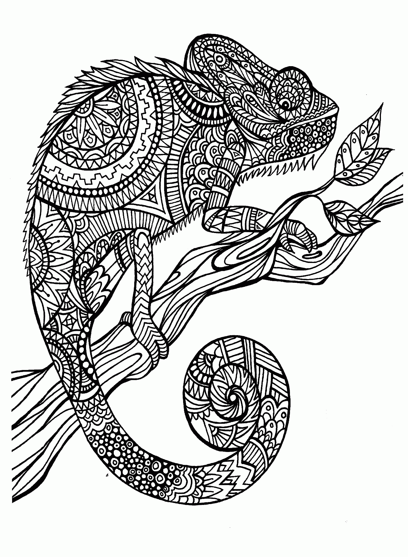 85+ Delightful Animal Coloring Pages Printable