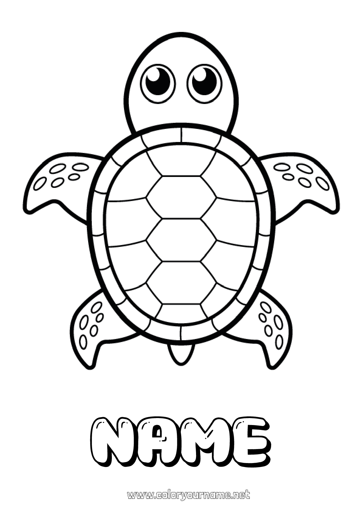 12+ Creative Turtle Coloring Pages Printable